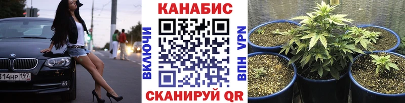 blacksprut ТОР Волоколамск Шишки марихуана Bruce Banner